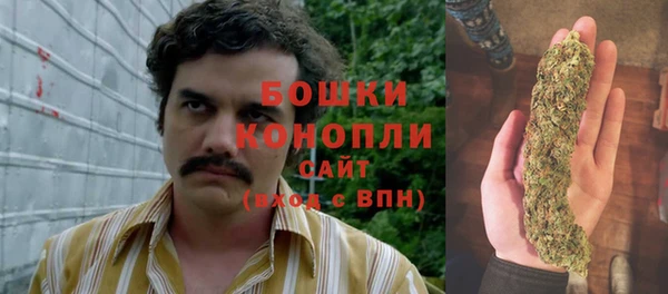ешки Зеленодольск