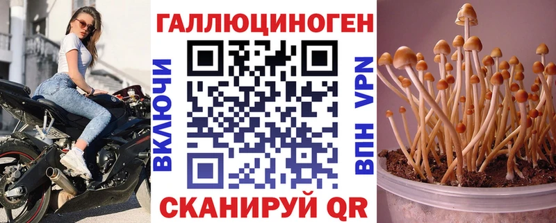 Купить  Новый Уренгой  Псилоцибиновые грибы GOLDEN TEACHER 